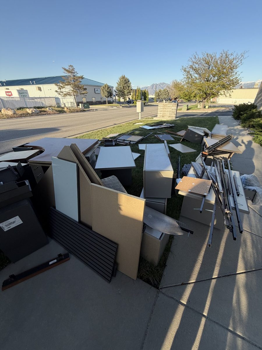 Veteran-owned junk removal results