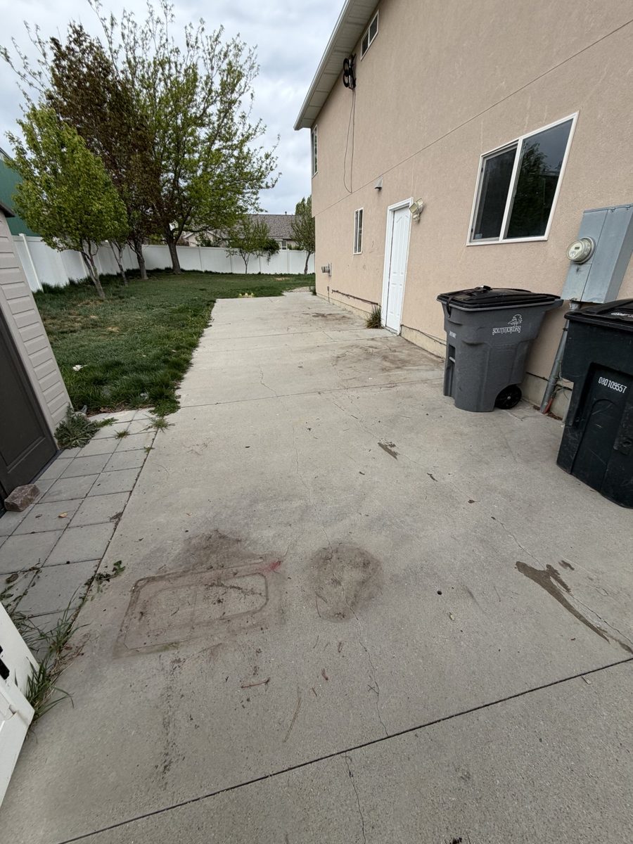 Veteran-owned junk removal results