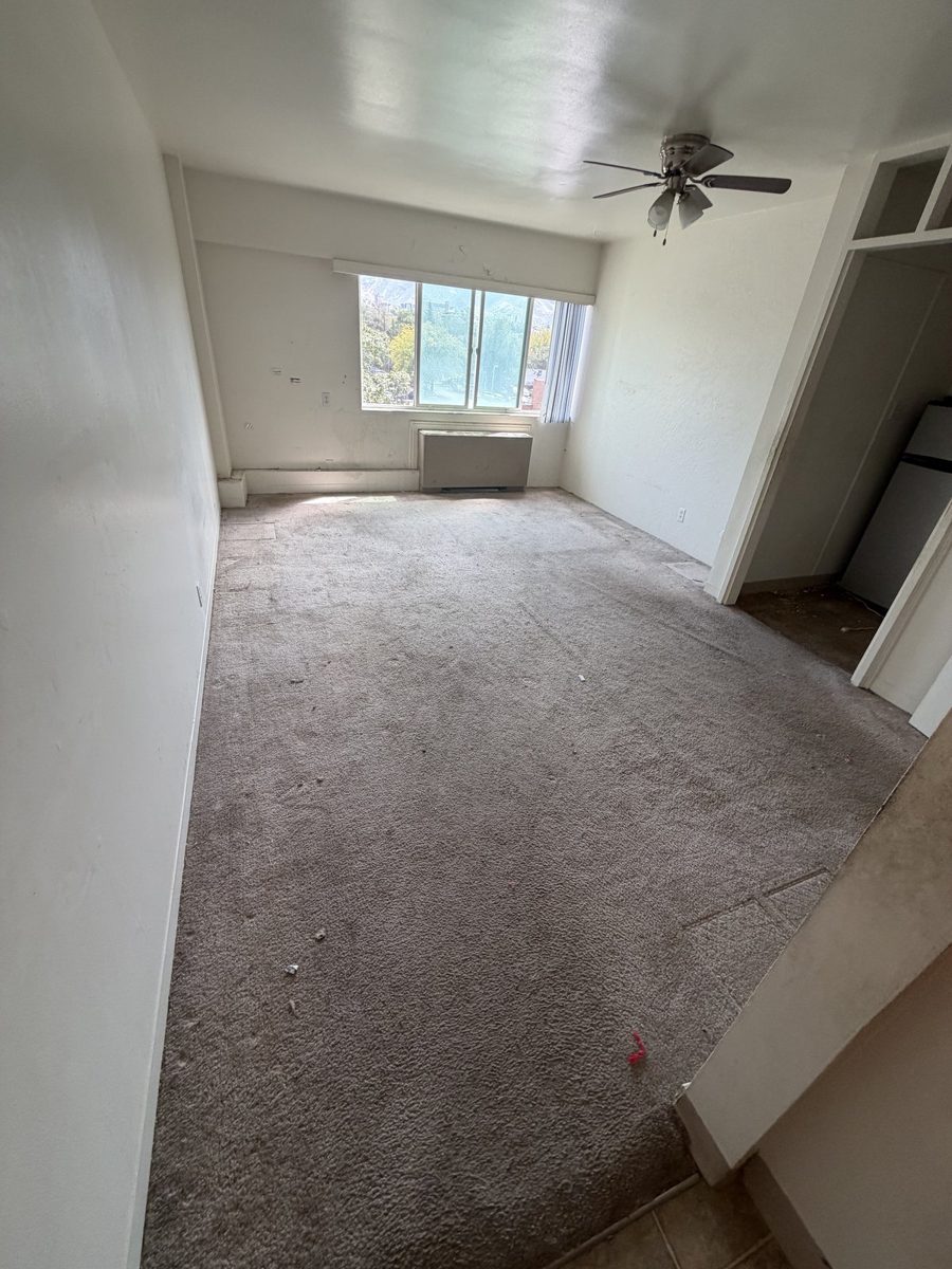 Veteran-owned junk removal results